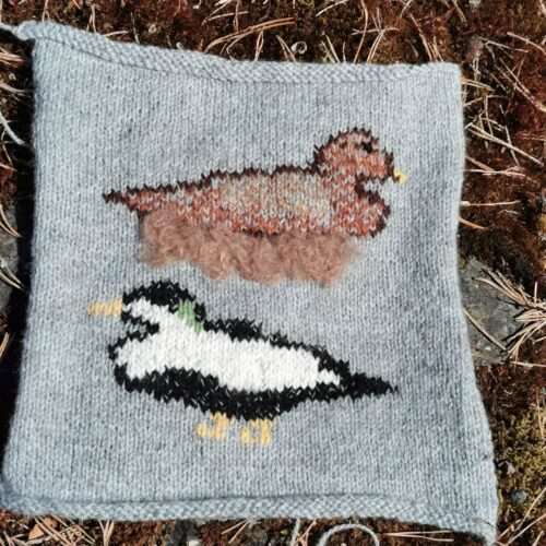 Knitted by Britt Arnhild Wigum Lindland. This sample combines duplicate stitch for the birds with a needle-felted nest to add distinct texture.