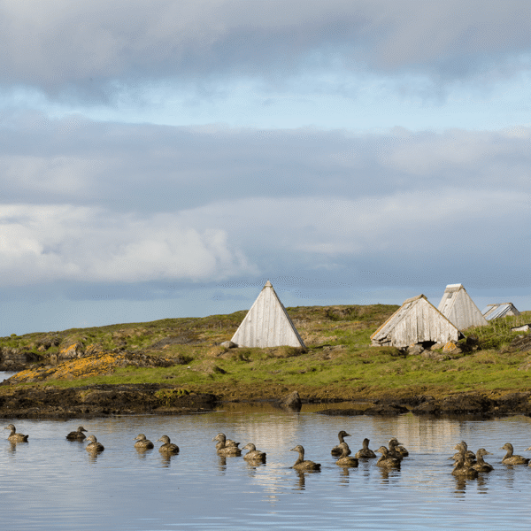 The cultural landscape. E-houses are seen everywhere