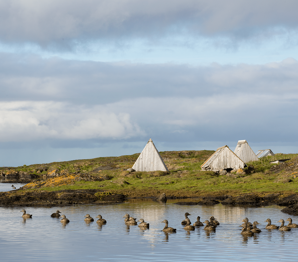The cultural landscape. E-houses are seen everywhere