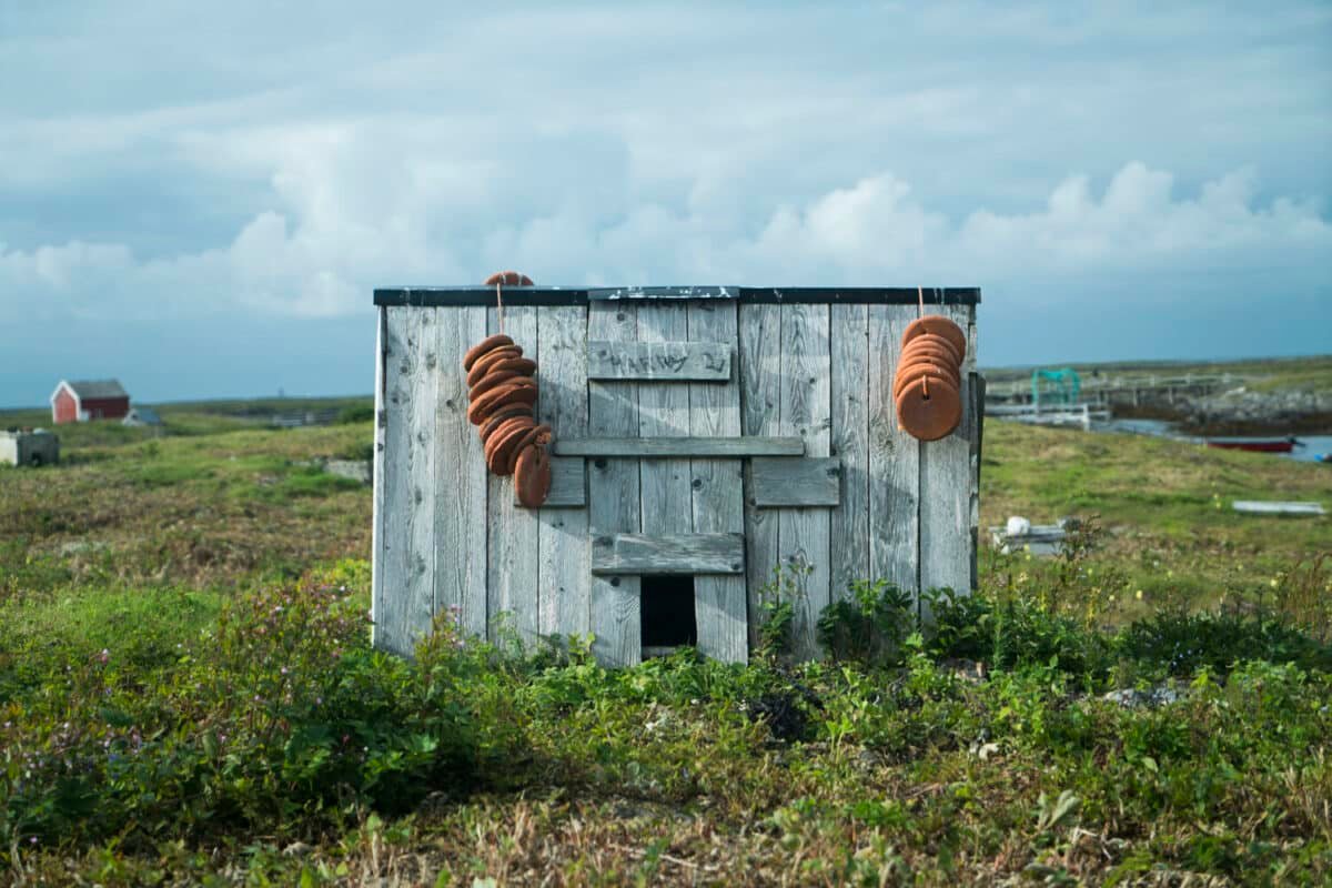 This is a house made for several eider ducks