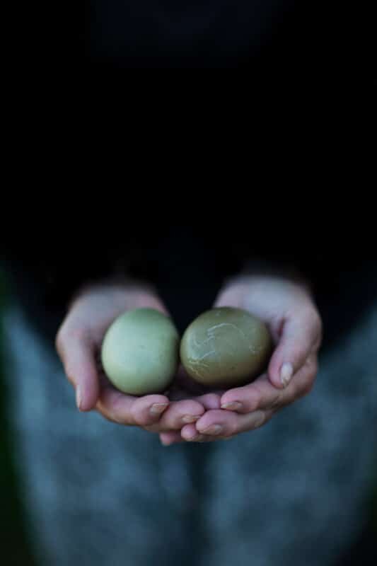 Egg+i+hender+–+Kopi