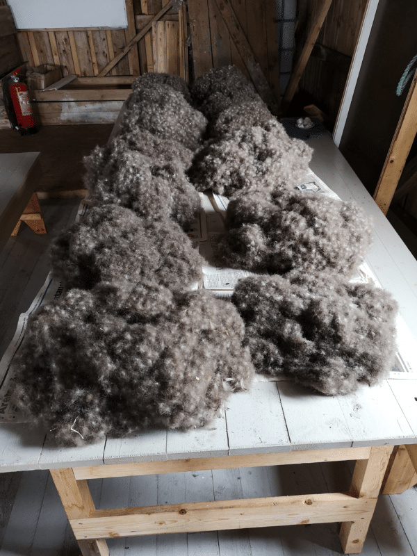 Down is collected after the birds have left the nests. It is a sustainable practice.