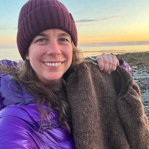 Knitted by Alexandra Yingst. "My plan is to make an Icelandic lopapeysa inspired by the colors of the female eider duck due to Iceland being known for its gender equality. I also just love the different shades of brown, grey, white, and black on the hens."