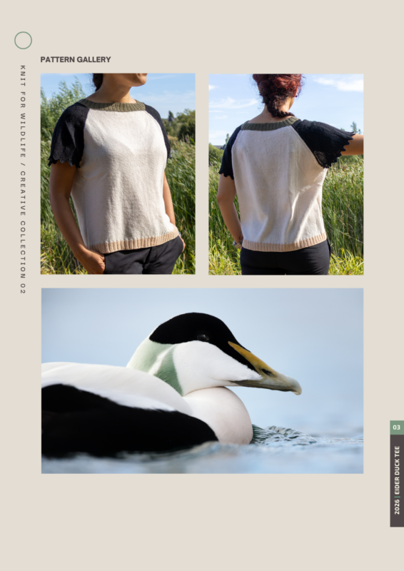 Vega Cohort. EIDER DUCK TEE. Isabel Vique (3)
