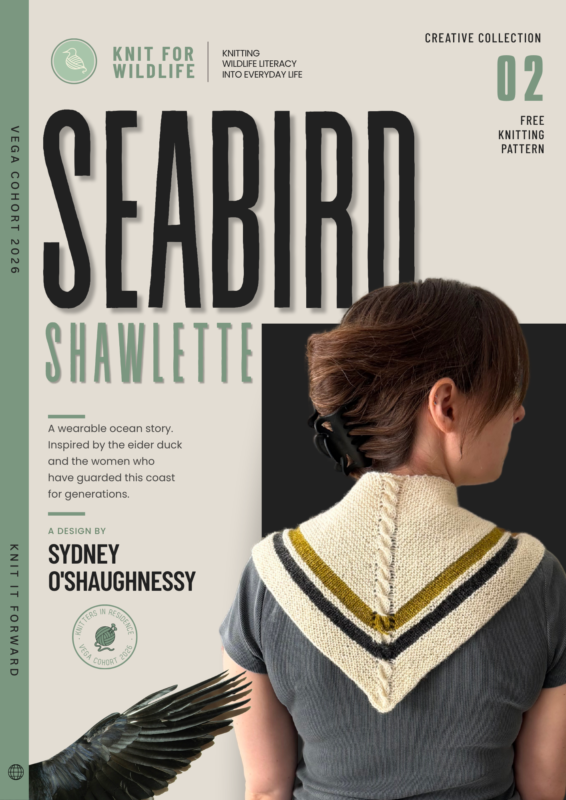 Vega Cohort. Seabird Shawlette. Sydney O'Shaughnessy.