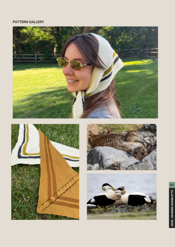 Vega Cohort. Seabird Shawlette. Sydney O'Shaughnessy. (3)