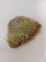 Grow Your Knitwear! Virtual Workshop - Image 3
